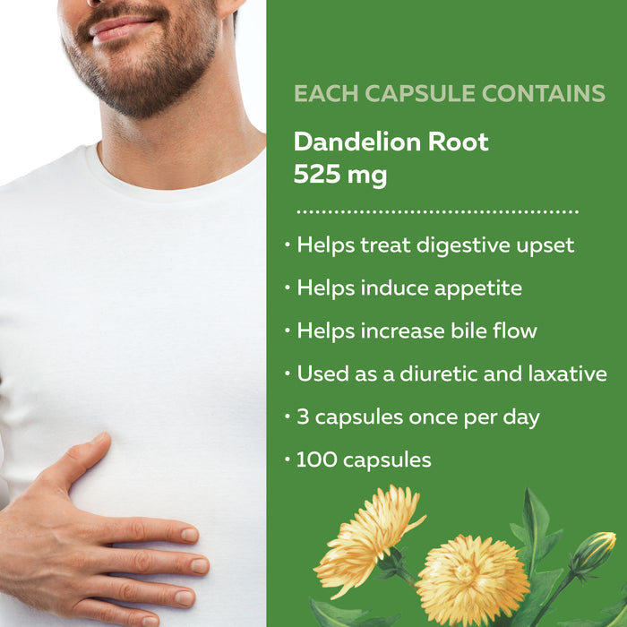 Nature's Way Dandelion Root 100 Veg Capsules