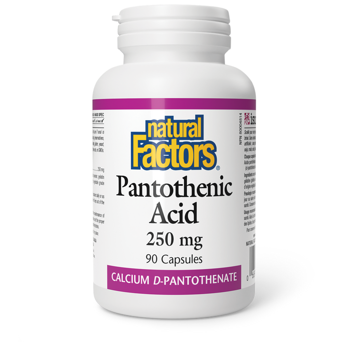 Natural Factors Pantothenic Acid 250mg 90 Veg Capsules